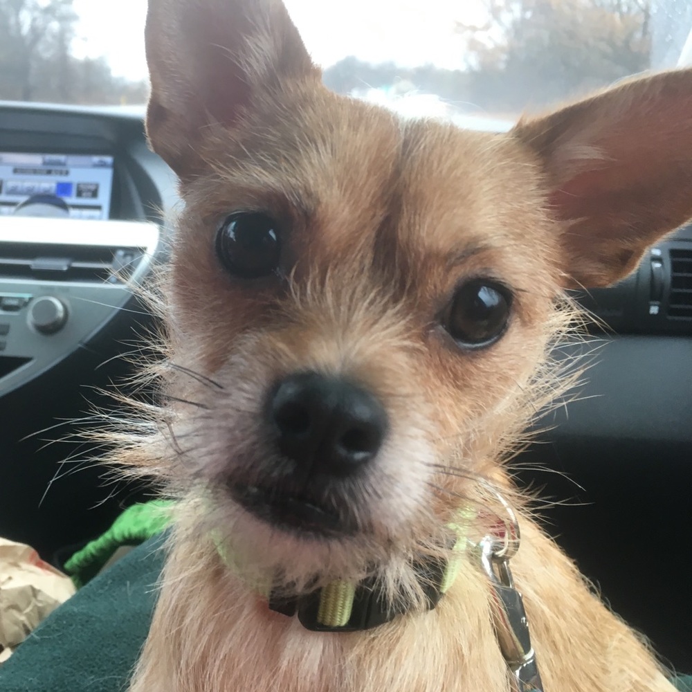 Meet your Posher, Beth